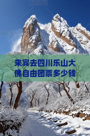 来宾去四川乐山大佛自由团
