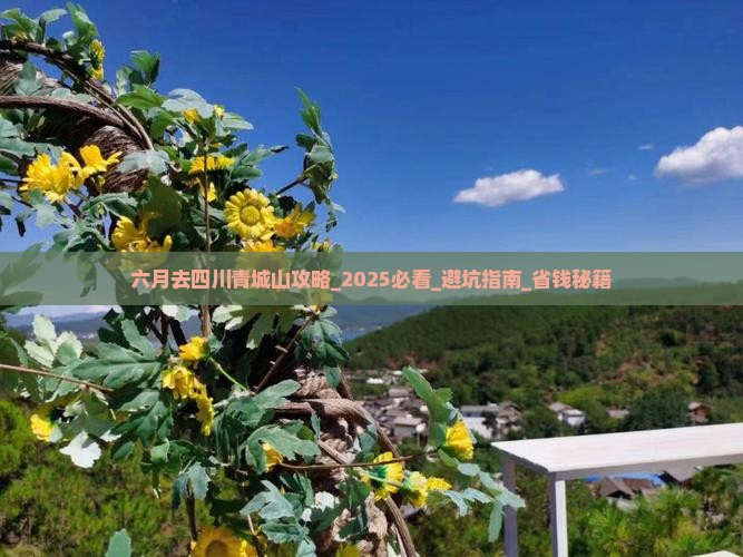 六月去四川青城山攻略
