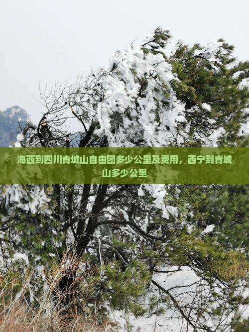 海西到四川青城山自由团