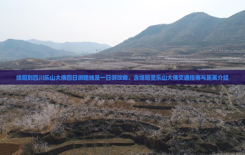 绵阳到四川乐山大佛四日游