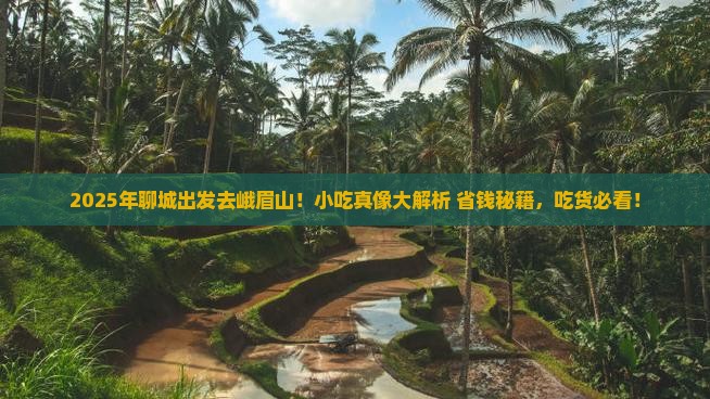 聊城去四川峨眉山旅游小吃