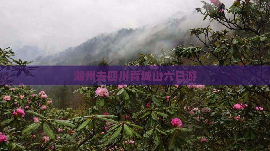 湖州去四川青城山六日游