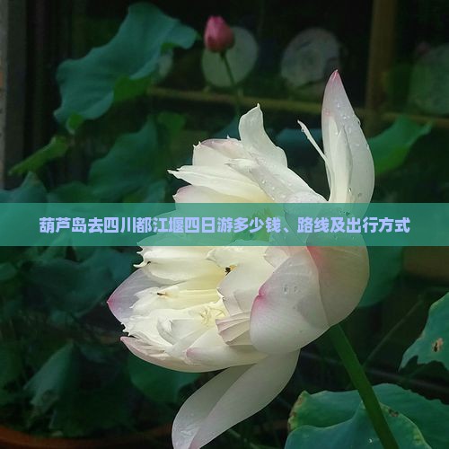 葫芦岛去四川都江堰四日游