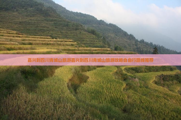 嘉兴到四川青城山旅游