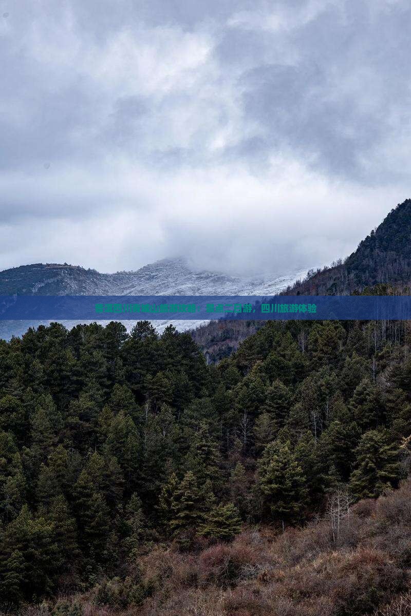 普洱去四川青城山二日游
