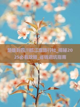 楚雄到四川都江堰旅行社