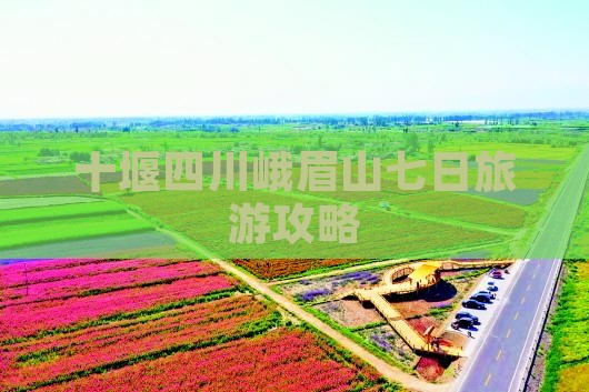 十堰到四川峨眉山七日游