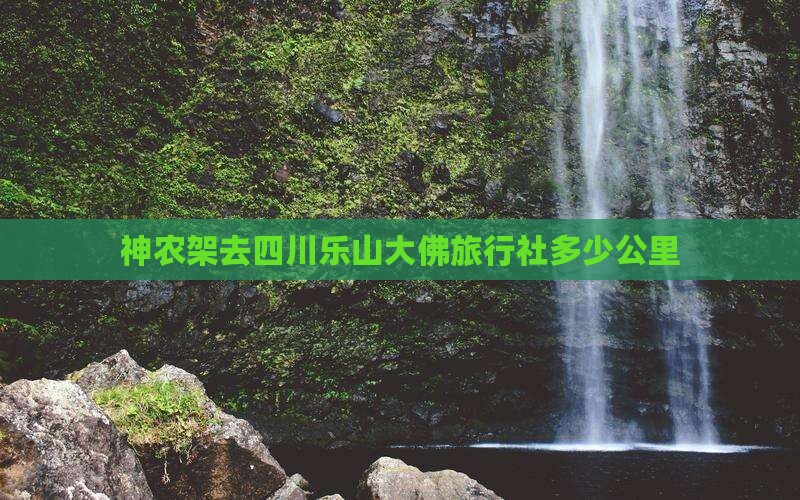 神农架去四川乐山大佛旅行社