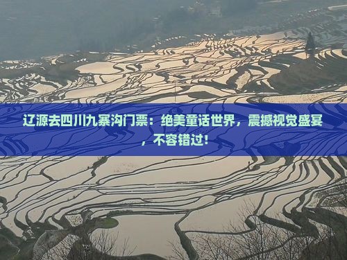 辽源去四川九寨沟门票