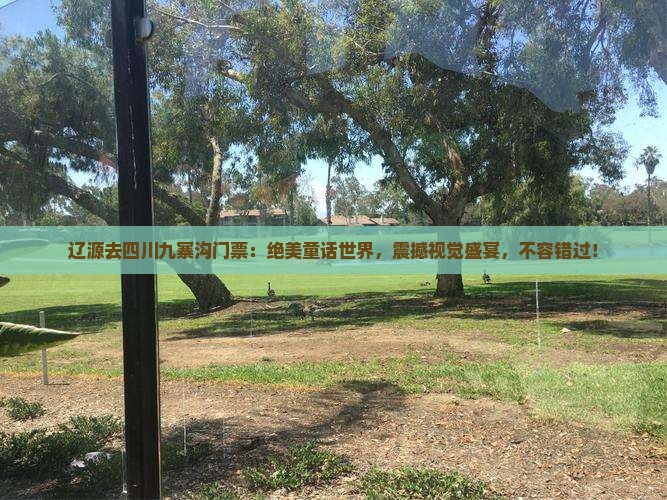 辽源去四川九寨沟门票