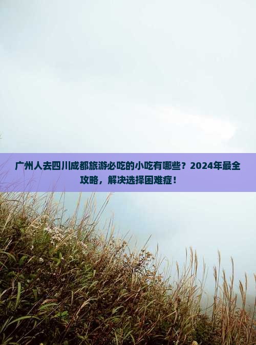 广州去四川成都旅游小吃