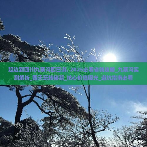 延边到四川九寨沟四日游