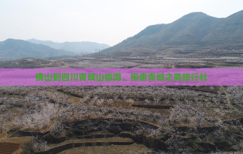 佛山到四川青城山旅行社