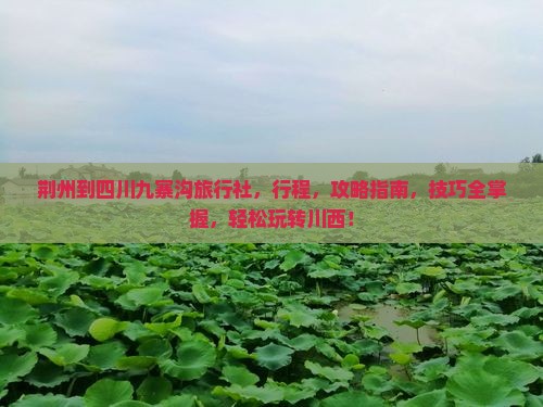 荆州到四川九寨沟旅行社