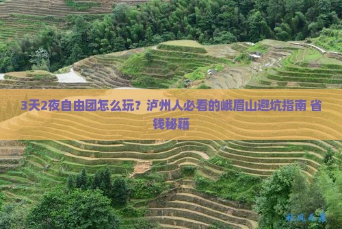 泸州去四川峨眉山自由团