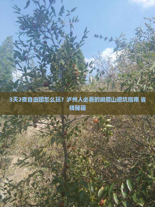 泸州去四川峨眉山自由团