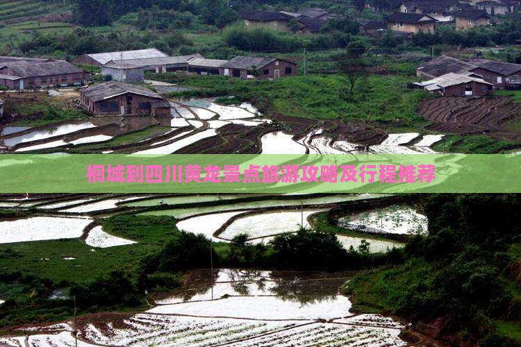 桐城到四川黄龙景点