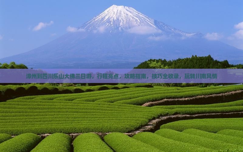 漳州到四川乐山大佛三日游