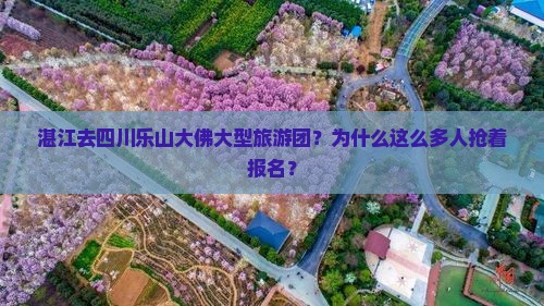 湛江去四川乐山大佛大型旅游团