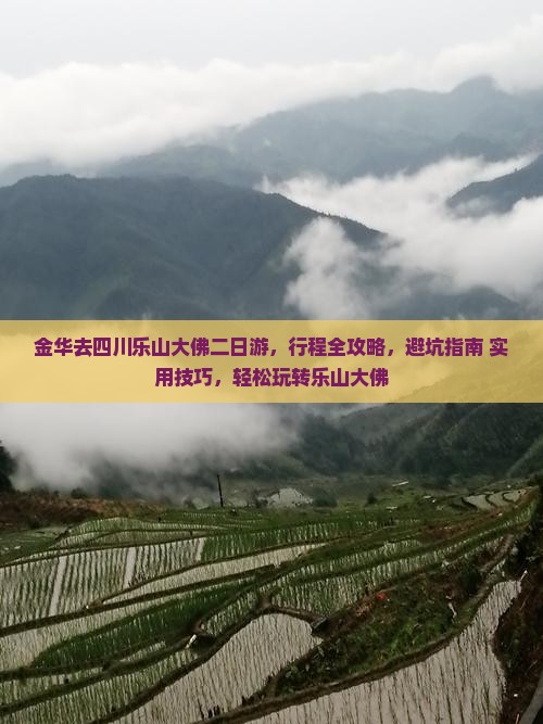 金华去四川乐山大佛二日游
