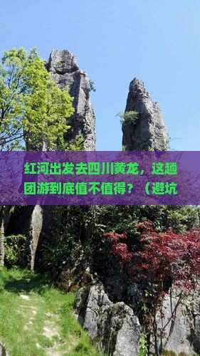 红河去四川黄龙团体旅游