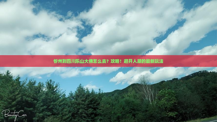 忻州到四川乐山大佛攻略