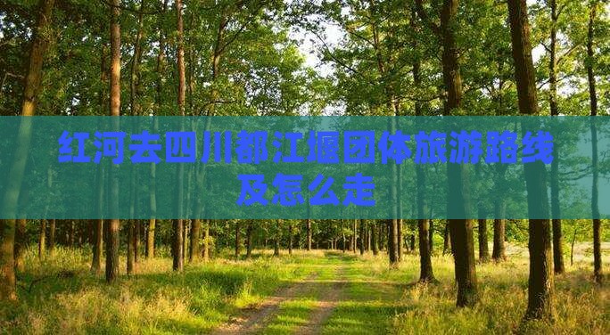 红河去四川都江堰团体旅游