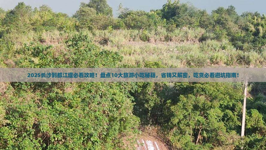 长沙到四川都江堰旅游小吃 长沙到四川都江堰旅游小吃