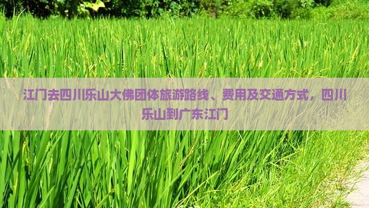 江门去四川乐山大佛团体旅游