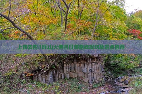 上饶去四川乐山大佛四日游