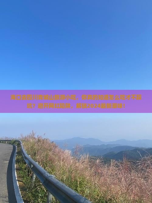 海口去四川青城山旅游小吃