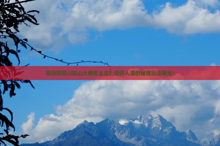 临沧到四川乐山大佛旅游