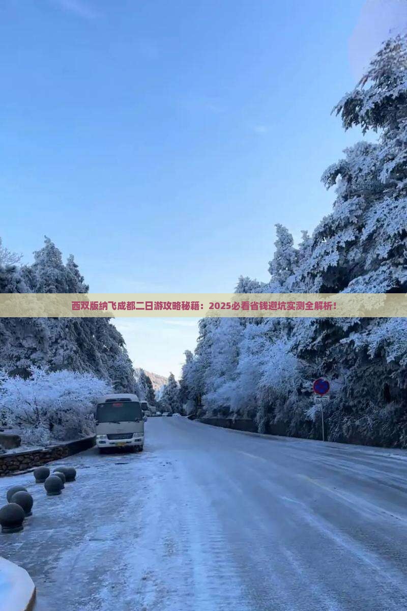 西双版纳去四川成都二日游