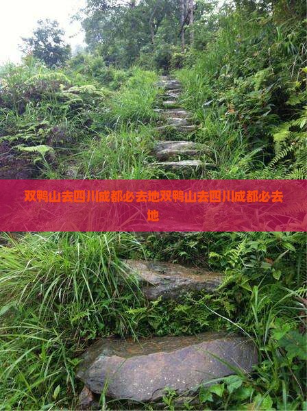 双鸭山去四川成都必去地