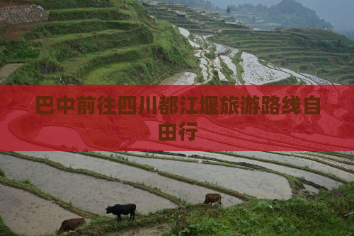 巴中去四川都江堰自由行