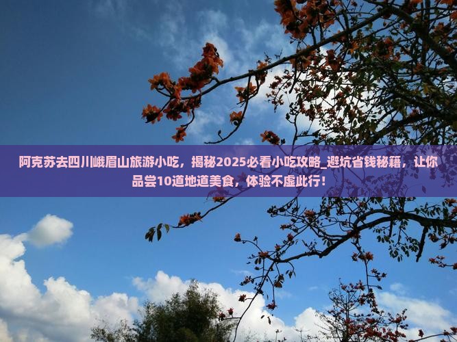 阿克苏去四川峨眉山旅游小吃