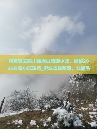 阿克苏去四川峨眉山旅游小吃