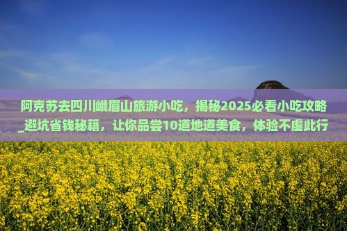 阿克苏去四川峨眉山旅游小吃