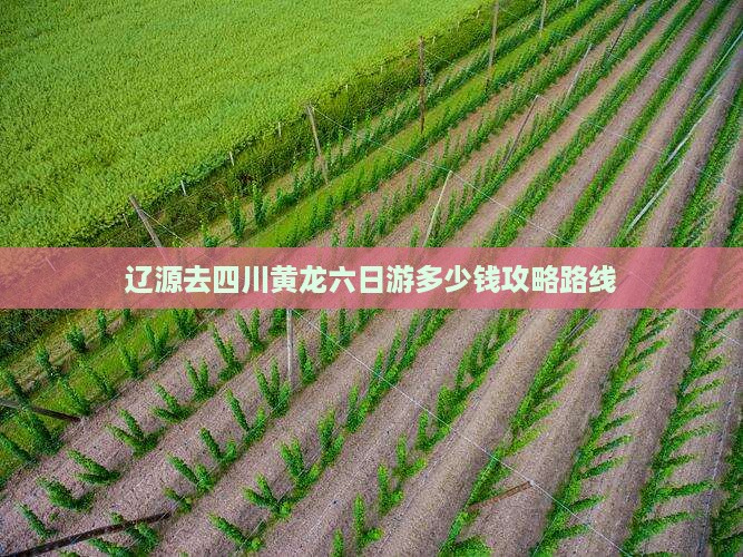 辽源去四川黄龙六日游
