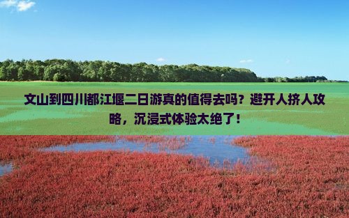 文山到四川都江堰二日游