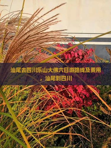 汕尾去四川乐山大佛六日游