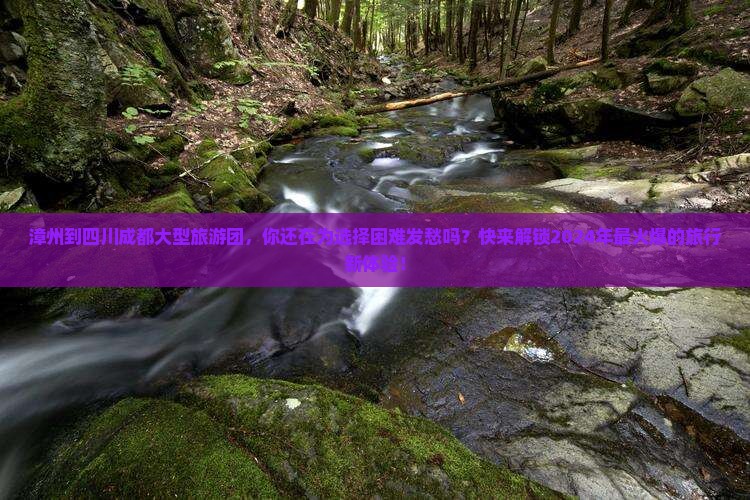 漳州到四川成都大型旅游团
