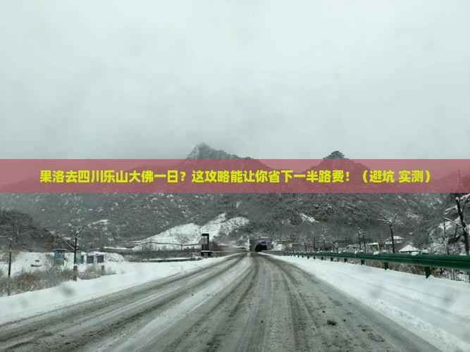 果洛去四川乐山大佛一日