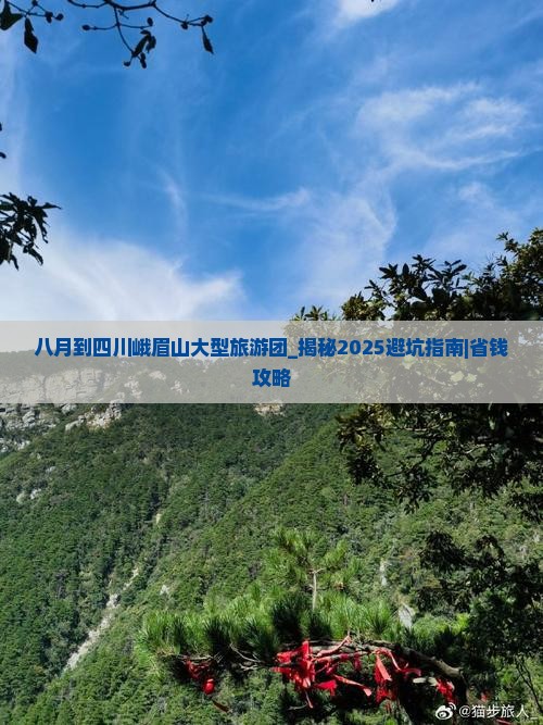 八月到四川峨眉山大型旅游团
