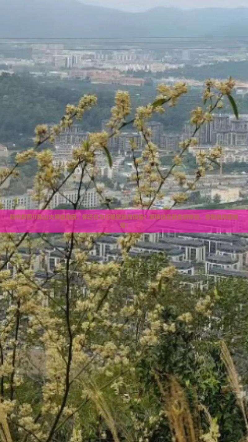 衢州到四川乐山大佛自由团