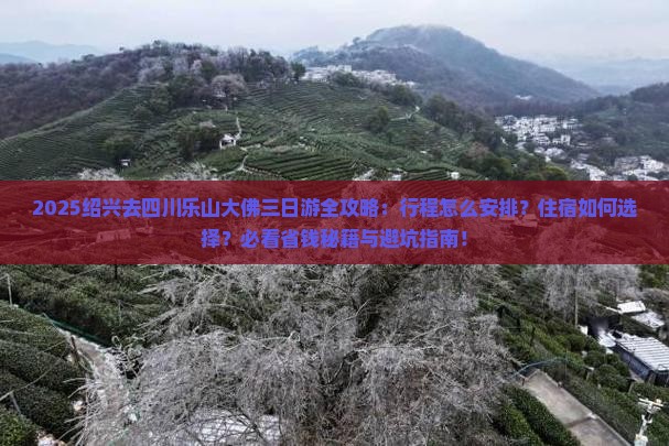 绍兴去四川乐山大佛三日游