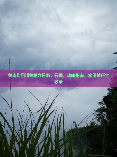 黄南到四川黄龙六日游