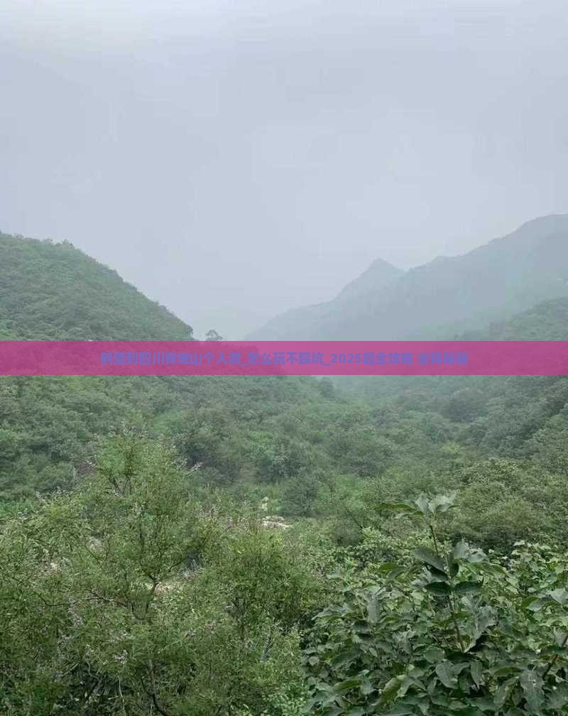 鹤壁到四川青城山个人游