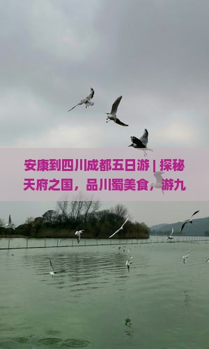 安康到四川成都五日游