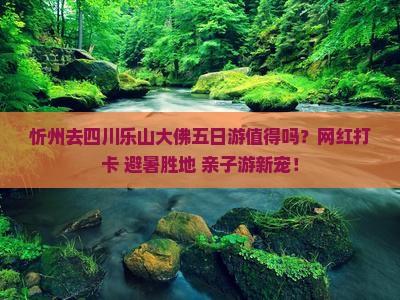 忻州去四川乐山大佛五日游